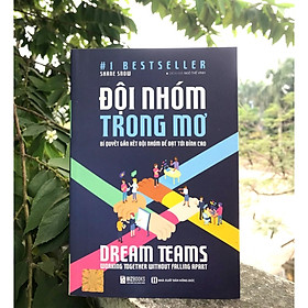 [Download Sách] Đội Nhóm Trong Mơ - Bí quyết Gắn Kết Đội Nhóm Để Vươn Tới Đỉnh Cao