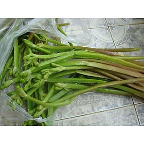 Combo 3 bụi cây kèo nèo con làm giống