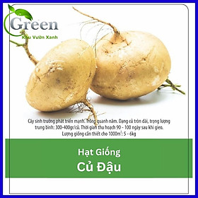 Hạt Giống Củ Đậu (Củ Sắn) (40H)