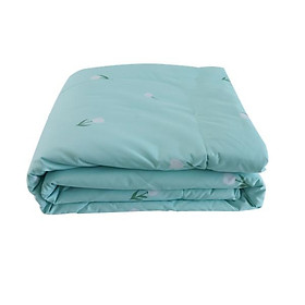 Mua Chăn mền chần gòn NIN Calisto 2m2x2m3 màu CT220028 cotton nhung cao cấp bốn mùa thu đông
