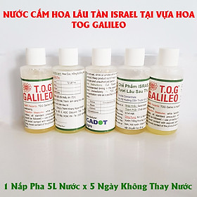 Nước Dưỡng Hoa Lâu Tàn Israel tại Vựa Hoa (Combo 5 Chai 100ml và 5 ngày không thay nước) giúp giữ hoa tại Chợ hoa tươi lâu hơn và không bị đen gốc hoa.