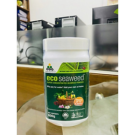 Mua Eco Seaweed Úc 100% từ tảo nâu (hộp 600g)