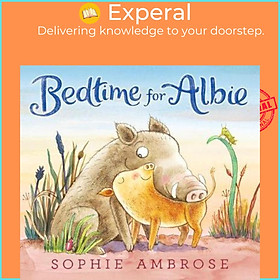 Sách - Bedtime for Albie by Sophie Ambrose (US edition, hardcover)