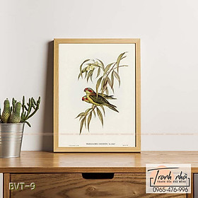 Tranh canvas vintage  - Vẹt (Trichoglossus concinnus) - BVT-9