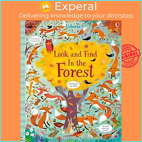 Sách - Look and Find In the Forest by Kirsteen Robson (UK edition, paperback)