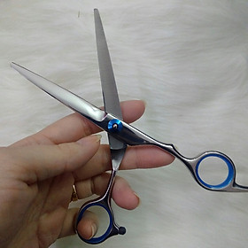 Bộ Kéo Cắt, Tỉa Tóc Chuyên Nghiệp 125 Số 1 Cho Thợ Tạo Mẫu Tóc, Bằng Thép Không Gỉ Sơn Tĩnh Điện, Sắc Bén Cao Cấp, Màu Sáng Bóng Sang Trọng, Họa Tiết Xanh Cuốn Hút, Bền Đẹp, Chốt Giữ Đảm Bảo, Lưỡi Kéo Khít Và Êm, Vừa Tay Cầm Thoải Mái, Dễ Sử Dụng, Tạo Kiểu Đẹp Nhanh Chóng