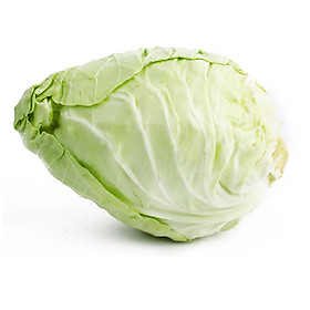 BẮP CẢI TRÁI TIM
