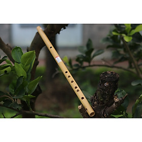 Mua Sáo Trúc (Sáo Ngang) VS2 Tone Fa Trầm (F4) Nứa Nam - Sáo Trúc Bùi Gia