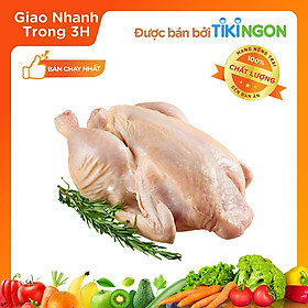 Thịt gà, vịt, chim