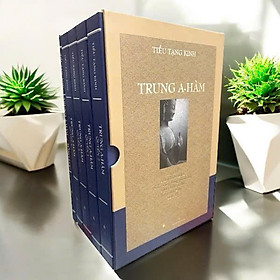 Tiểu Tạng Kinh Trung A Hàm - HT Tuệ Sỹ