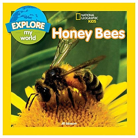 Explore My World: Honey Bees - Đang cập nhật