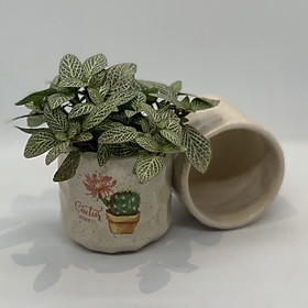 Bộ 2 Chậu Sứ - 7x7x7 Cm - Mầu Be Nhạt – Dáng Trụ - Chậu Gốm Bát Tràng Trồng Cây Mini Để Bàn, Sen Đá, Xương Rồng, Cây Cẩm Nhung (Fittonia, May Mắn) & Tiểu Cảnh Terrarium