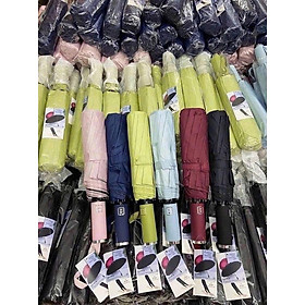 Mua Ô tự động với 24 nan Tewa Japan hàng chính hãng