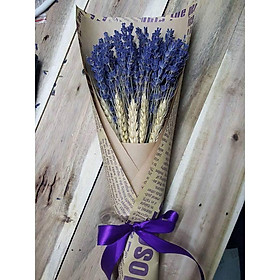 Mua Hoa Oải Hương Lavender 100 cành mix lúa mạch