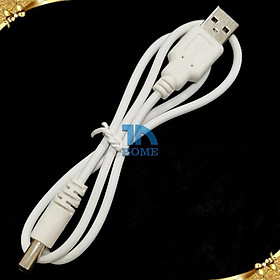 Mua Dây sạc bàn chải điện  loa  đồ chơi công nghệ DC3.5V (Đầu tròn)