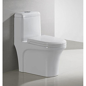 Mua bồn cầu 1 khối  C1035
