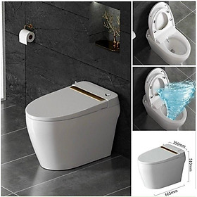 Bồn cầu không két nước  có nắp rửa Bidet