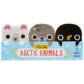 Meet The Arctic Animals - Mini Board Book Set