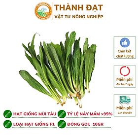 Mua Hạt gống Ngò gai  Hạt giống mùi tàu Nông Hưng Phú gói 10gr