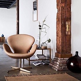 Ghế thư giản Swan Chair Tundo Ngang 73 x 80 x 64 cm