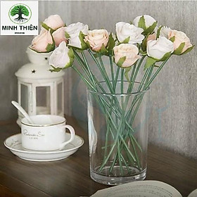 Mua Bình Thủy Tinh Cắm Hoa  Trang Trí Ống Trụ Đường Kính 12cm x 20cm