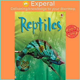 Sách - Reptiles by Connie McLennan (UK edition, hardcover)