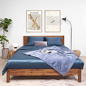 Mua Giường Ngủ Gỗ Tràm MOHO MALAGA 301 Nhiều Kích Thước (Thanh Vạt)