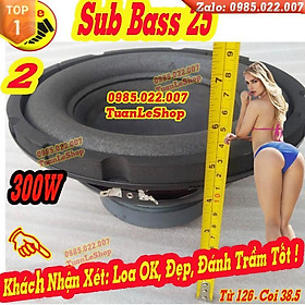 Mua LOA SIÊU TRẦM 25 –GIÁ 1 CẶP - LOA SUB BASS 25