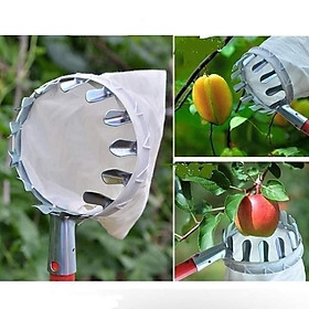 Mua Đầu Vợt Hái Trái Cây Đa Năng Tiện Dụng