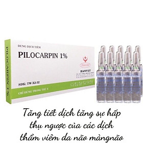 1 ống PILOCARPIN 1% giúp tăng tiết dịch dùng cho chó mèo trâu bò lợn