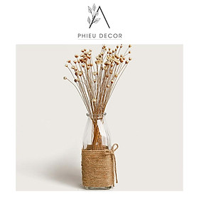 Mua Lọ thủy tinh trang trí dây thừng vintage (M4)