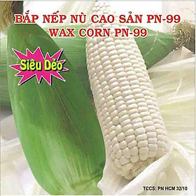 Mua Hạt Giống Bắp Nếp Nù Siêu Dẻo Phú Nông 100gram