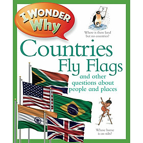 [Download Sách] I Wonder Why Countries Fly Flags