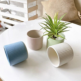 Chậu trồng sen đá xuong rồng - chậu kẻ tăm mini 7,5x7