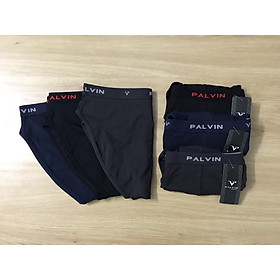 Quần lót nam Palvin hàng đẹp ( màu ngẫu nhiên) cho phái mạnh