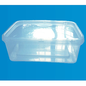 50 hộp chữ nhật 1000ml dùng 1 lần