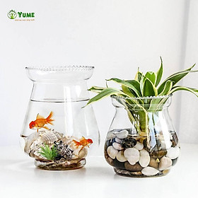 Mua Bình thủy tinh ️️ chậu thủy tinh trồng cây  nuôi cá miệng loe