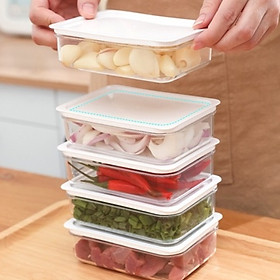 Mua Hộp nhựa đựng thực phẩm trong tủ lạnh bảo quản tươi hộp lưu trữ đông lạnh trong suốt babo (TC22)