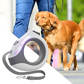 Retractable Leash Extendable for Small and Medium Dogs 10ft Walking Dog Leash Nylon for Running Night Training Walking Hiking