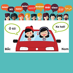 Khóa Học Vietnamese Language Course For Beginners