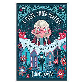 Usborne Middle Grade Fiction: A Place Called Perfect