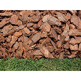 Mua 5 kilogam vỏ thông trồng lan loại 3 - 5 cm