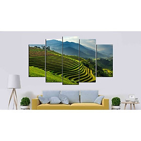 Tranh Ruộng Bậc Thang |Cánh Đồng Lúa Sapa |T3M-NEW-246