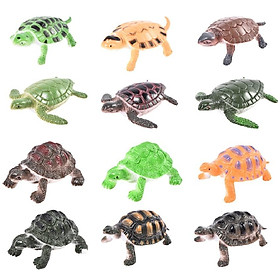 Đồ chơi 12 con Rùa Natural Turtle 5 cm mô hình đáng yêu bằng nhựa cứng đặc nhiều màu sắc độc đáo cho bé