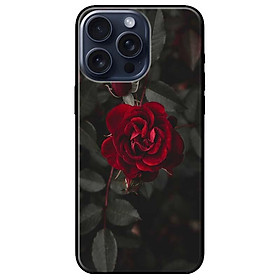 Ốp lưng dành cho Iphone 15 - Iphone 15 Plus - Iphone 15 Pro