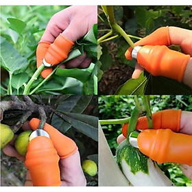 Mua Bộ đôi dụng cụ nhặt rau  bấm cành  củ quả tiện lợi