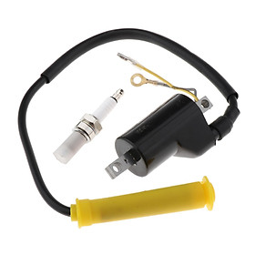 Ignition  W/ Spark Plug Black For  TRX400EX 30500-HN1-003