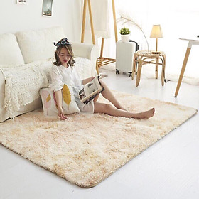 Thảm Lông Trải Sàn Loang Màu KT 1m6x2m