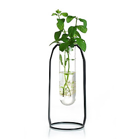 Glass Flower Vase Hydroponic Plants Container with Stand