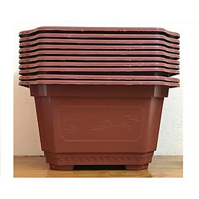 Combo 10 Chậu Nhựa Trồng Cây Mini Hình Chữ Nhật Màu Nâu Siêu Đẹp Kích Thước 22x18x12 Cm